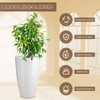RimCereal 2 Pack 20 Inch Tall Plastic Planters for Indoor