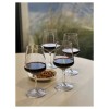 BPA Free 18oz Tritan Plastic Wine Glasses Set Unbreakable Lexington