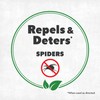 NatureStop Spider Repellent Spray for Patio - Outdoor Spider Control