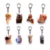 FXiaoy Kawaii Cat Acrylic Keychain Set - 8pcs Charming Anime