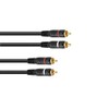 OMNITRONIC RCA Cable 2 x 2 0.3 m