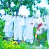 Portable Clothesline with 12 Clothespins, Windproof Travel Clothesline Stretchy Retractable