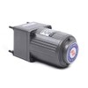 Variable Speed Geared Motor, 110V AC Gear Reduction Motor Adjustable