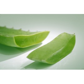 ALOVERIA® NUTRITION Intense Cream Nourishing Regenerating Care with 30% Aloe Vera Organic