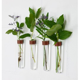 TWILG - Test tubes for flowers with cognack-coloured leather and wall magnet - set of 4 - flower vase, magnetic vase, test tubes with stand, test tube vase wall, magnetic vase