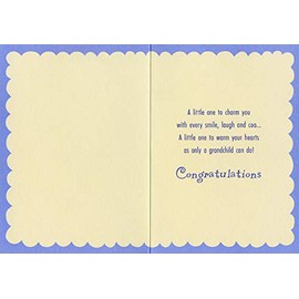 Designer Greetings Bumble Bee and Ladybug New Grandparents Congratulations Card