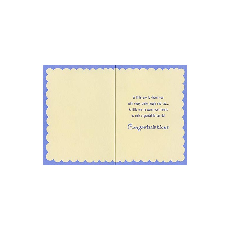 Designer Greetings Bumble Bee and Ladybug New Grandparents Congratulations Card