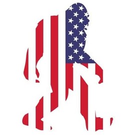 StickersEye Bigfoot US Flag Colorful Stickers Car Decals Vinyl Car Stickers Bumper Stickers| Laptop Water Bottles Cars Trucks Windows | 4.2 X 6 Inches