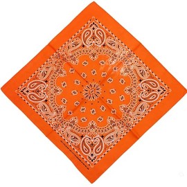 The largest selection Paisley Bandana 55x55 Pattern, Standard, Regular, Regular, orange