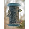 Woodlink MAG1 Magnum Sunflower Screen Feeder