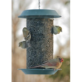Woodlink MAG1 Magnum Sunflower Screen Feeder