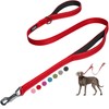 Fida 4 FT Heavy Duty Dog Leash with 2 Comfortable
