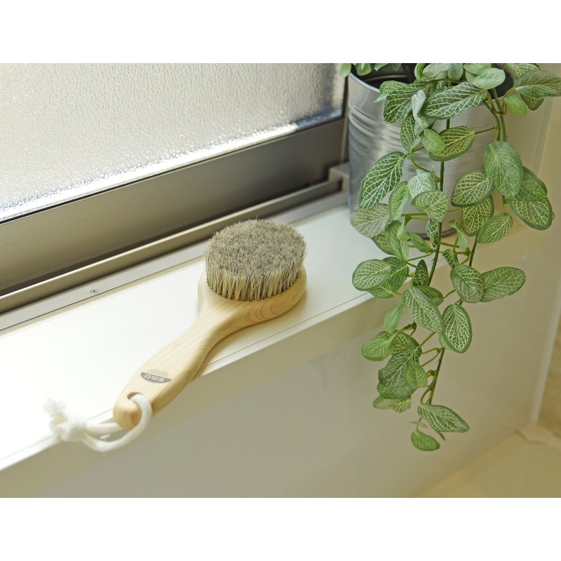 Ishimizu 10381 Cypress Body Brush, Horsehair, M, Soft