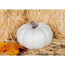 Elanze Designs Classic White 6 inch Resin Harvest Decorative Pumpkins Pack of 2