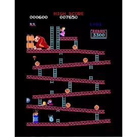 Handmade Video Games Donkey Old School -MAGNET