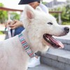 Collar para Perros Extra Grandes con Hebilla de Metal