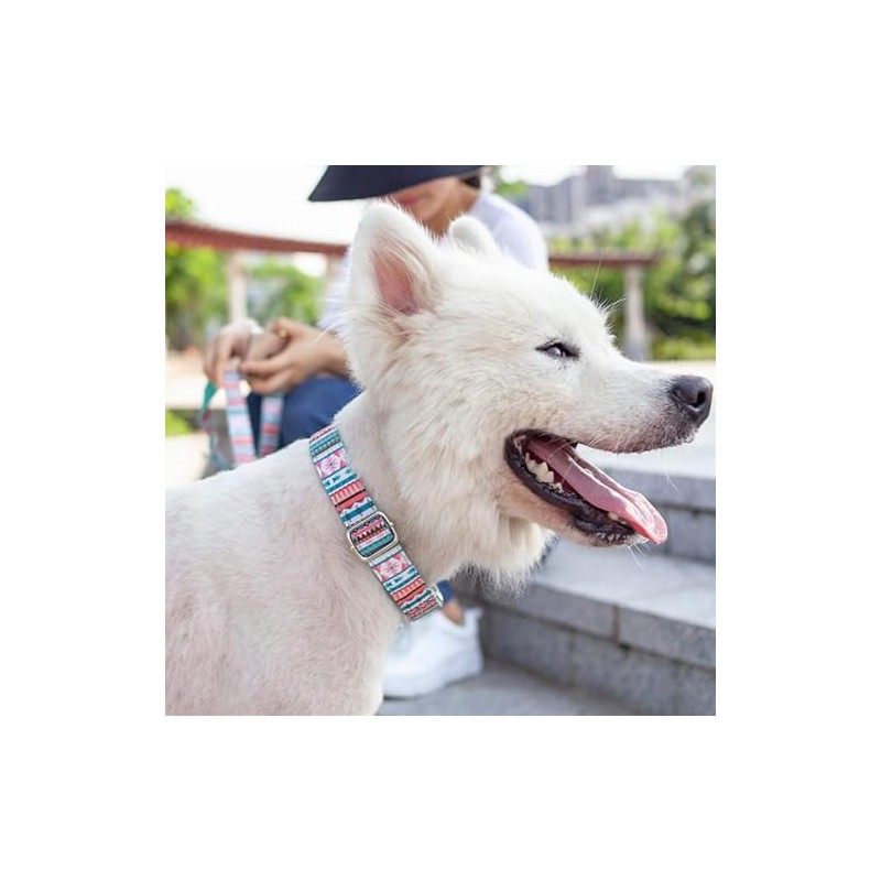 Collar para Perros Extra Grandes con Hebilla de Metal