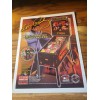 Stern Elvis Pinball Machine Flyers 2 of them...FREE US shipping