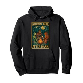National Park After Dark Alien Bigfoot Bear Camping Pullover Hoodie