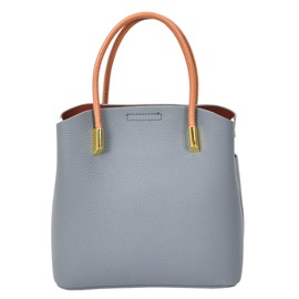 Womens Handbag Exquisite Leather Small Tote Smart Casual Fashion Crossbody Bag Allure (Sky Blue)