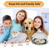 Defeat Fleas with Confidence Using Multiple Flea Traps for a