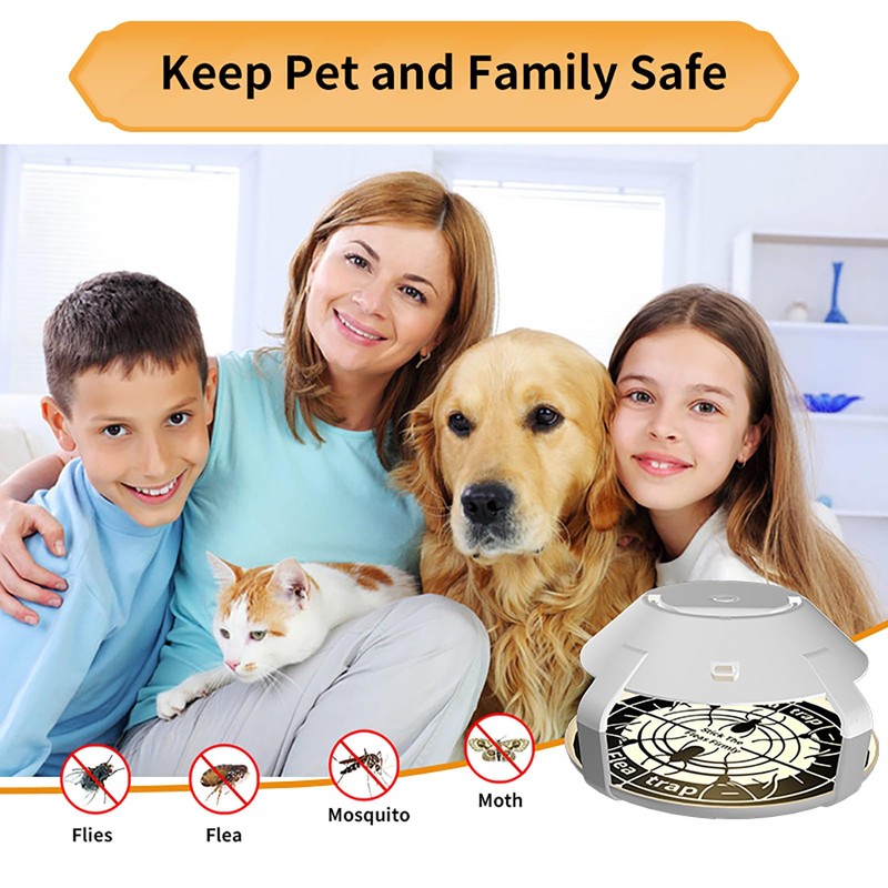Defeat Fleas with Confidence Using Multiple Flea Traps for a