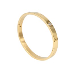 Luxury Gold -Plated Stainless Steel with CZ Stone Simple Style Love Bangle Bracelet for Women Men (Gold size 16cm)