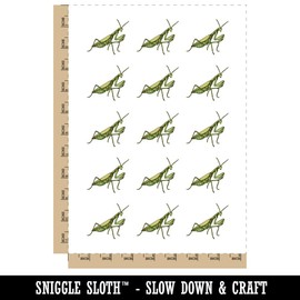 Realistic Praying Mantis Bug Insect Temporary Tattoo Water Resistant Fake Body Art Set Collection - 15 2" Tattoos (1 Sheet)