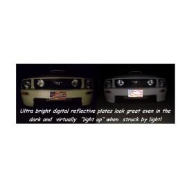 Race Plates #3 Dale Earnhardt Hall of Fame Faux Diamondplate Design DP0317HF