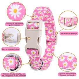 Bilsole Collares para Perros medianos, duraderos y Ajustables, Bonitos Collares para Cachorros, para niñas, niños, machos y Hembras, Talla M, Rosa.