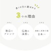 Shizuoka Matcha Cold Brew Sencha Tea Bag for 1 Liter,