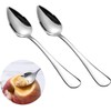 2Pcs Serrated Spoon Grapefruit Spoon Stainless Steel Grapefruit Spoon, Spoon