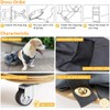 derYEP Pet Scooter Wheelchair for Rear Legs paralyzed Dog Protects