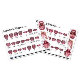 Speech lip shapes chart, water-proof (A4 chart)