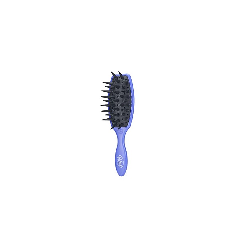 Wet Brush Cepillo de tratamiento, morado, cuidado personalizado, todo tipo