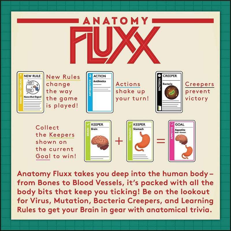 Looney Labs Anatomy Fluxx Card Game - Varied Gameplay and