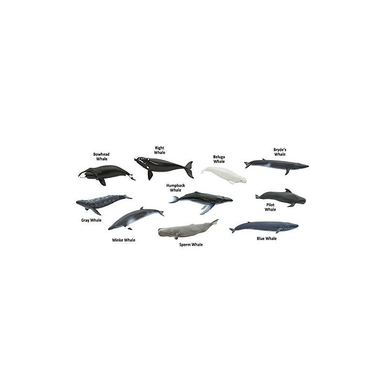 Safari (サファリ) ホエール チューブ ミニ フィギュア 100072