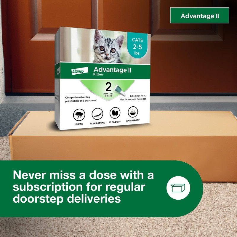 Advantage II Kitten Vet-Recommended Flea Treatment & Prevention | Cats