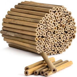 Rivajam 125 Bamboo Sticks for Crafts Supplies | Bamboo Craft Sticks & Mason Bee Tubes for Mason Bee House | Bamboo Reed Mason Bee Straws for Solitary Bee Box, Bee Hotel & Pollinator Gardens