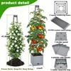ENNUFO Tomato Planter with Trellis 57", 2-Pack Self Watering Raised