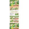 Ise Marunaka Tea Set of 5 Ise Tea Items in