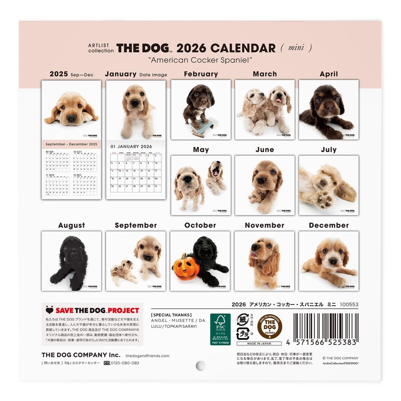 THE DOG 2026 Wall Calendar, Mini Size (American Cocker Spaniel)