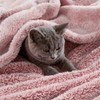 Exclusivo Mezcla Plush Fuzzy Fleece Bed Blanket King Size, Super