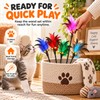 5-Piece Cat Feather Wand Toy Set for Interactive Play –