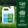 Advanced 16-4-8 Lawn Fertilizer - Liquid Lawn Food Spring &
