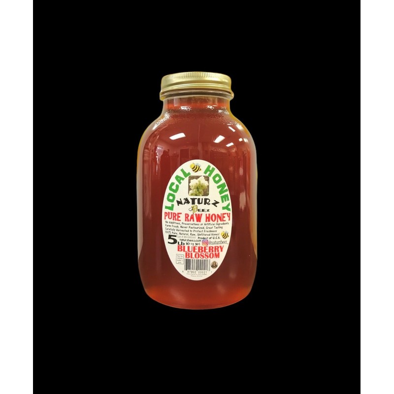 NATURZ BEEZ RAW HONEY BLUEBERRY BLOSSOM 5 LBS 100% PURE