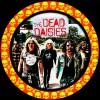DEAD DAISIES BAND EXCLUSIVE SET OF THREE BRACELETS