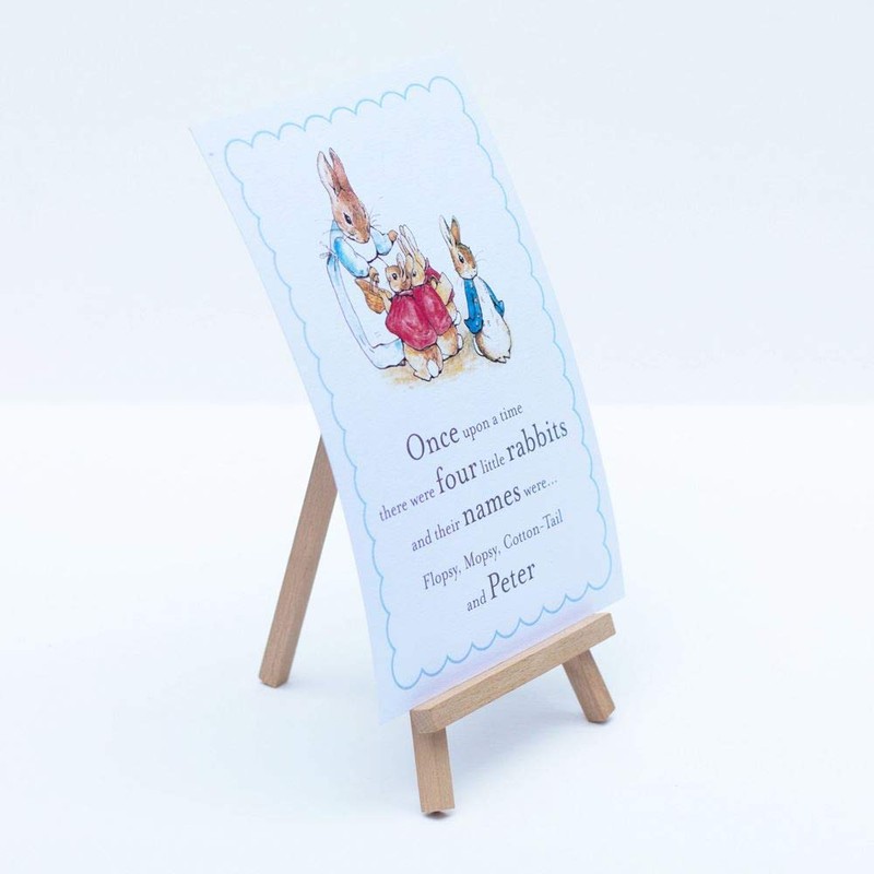 Peter Rabbit A5 'Once upon a time there were Four