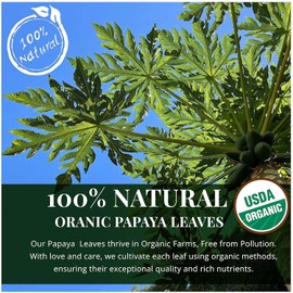 Akshit Dried Papaya Leaves, 13oz, Papaya Leaf Tea, Hojas De Papaya, Dried Leaves, Perfect For Papaya Leaf Extract, Skin Care, Hair Regrowth, Non GMO.