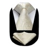 HISDERN Men's Wedding Ties and Pocket Square, Paisley Tie Set,